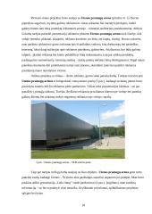 Pažintinės praktikos ataskaita: reklamos agentūra UAB "Advista" 18 puslapis