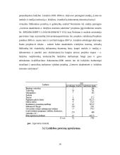 Pažintinės praktikos ataskaita: spaudos namai, reklamos agentūra, leidykla 16 puslapis