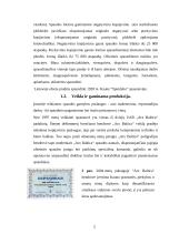 Pažintinės praktikos ataskaita: spaudos namai, reklamos agentūra, leidykla 5 puslapis