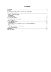 Venesuelos regiono analizė