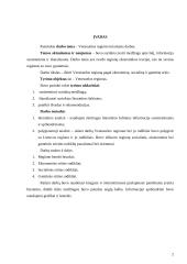 Venesuelos regiono analizė 2 puslapis