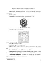 Venesuelos regiono analizė 3 puslapis