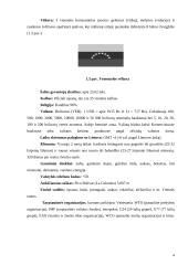 Venesuelos regiono analizė 4 puslapis