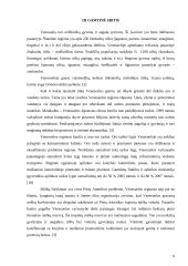 Venesuelos regiono analizė 9 puslapis