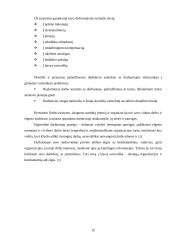 Verslo etikos svarba ir problematika šiuolaikinėje ekonominėje sistemoje 15 puslapis