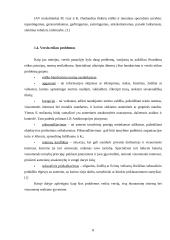 Verslo etikos svarba ir problematika šiuolaikinėje ekonominėje sistemoje 8 puslapis