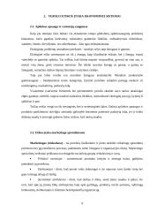 Verslo etikos svarba ir problematika šiuolaikinėje ekonominėje sistemoje 9 puslapis