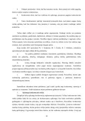 Verslo etikos svarba ir problematika šiuolaikinėje ekonominėje sistemoje 10 puslapis