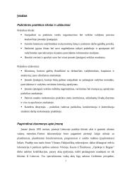 Pažintinės praktikos ataskaita: valdymo procesas IĮ "Optika ir Rega" 3 puslapis