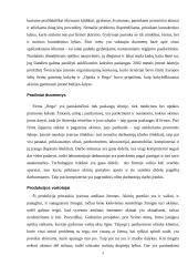 Pažintinės praktikos ataskaita: valdymo procesas IĮ "Optika ir Rega" 4 puslapis