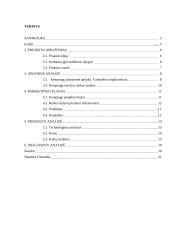 Verslo planas: kempingas