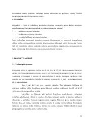 Verslo planas: kempingas 12 puslapis