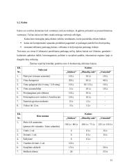 Verslo planas: kempingas 13 puslapis