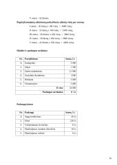 Verslo planas: kempingas 16 puslapis