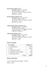 Verslo planas: kempingas 17 puslapis