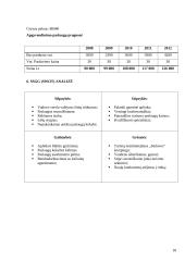 Verslo planas: kempingas 18 puslapis