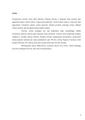 Verslo planas: kempingas 4 puslapis