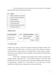 Verslo planas: kempingas 6 puslapis