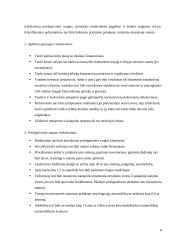 Verslo planas: kempingas 8 puslapis