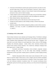 Verslo planas: kempingas 9 puslapis