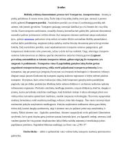 Vežimų technologija 3 puslapis