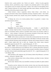 Vežimų technologija 10 puslapis