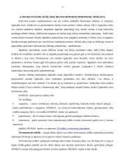 Praktikos ataskaita: AB "Snoras" 12 puslapis