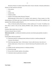 Praktikos ataskaita: AB "Snoras" 19 puslapis