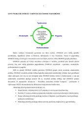 Praktikos ataskaita: AB "Snoras" 4 puslapis