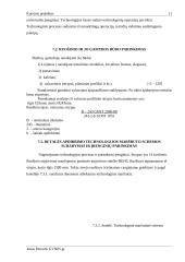 Vienetinio technologijos proceso projektavimas: stiklinė (įvorė) 11 puslapis