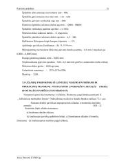 Vienetinio technologijos proceso projektavimas: stiklinė (įvorė) 15 puslapis