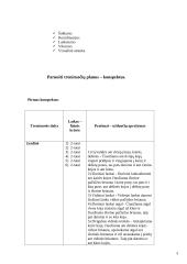 Praktikos ataskaita: dailusis čiuožimas 2 puslapis