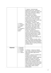 Praktikos ataskaita: dailusis čiuožimas 16 puslapis