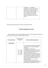 Praktikos ataskaita: dailusis čiuožimas 17 puslapis