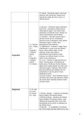 Praktikos ataskaita: dailusis čiuožimas 3 puslapis