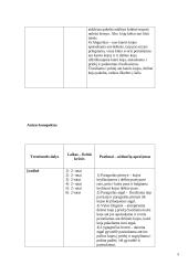 Praktikos ataskaita: dailusis čiuožimas 4 puslapis