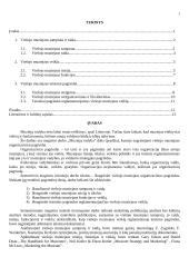 Viešojo muziejaus rinka