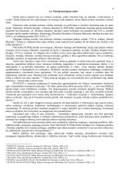 Viešojo muziejaus rinka 4 puslapis