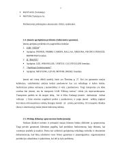 Praktikos ataskaita: drabužių parduotuvė UAB "Džinsų centras" 7 puslapis