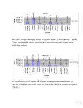 Praktikos ataskaita: prekyba sporto ir turizmo prekėmis "Turistlandija" 15 puslapis