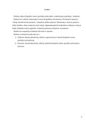 Praktikos ataskaita: prokuratūros raštinė 2 puslapis