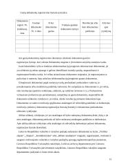 Praktikos ataskaita: prokuratūros raštinė 11 puslapis