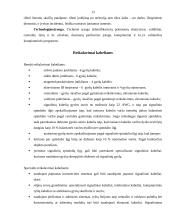 Praktikos ataskaita: saugos sistemos, signalizacijos  UAB "Armabelus" 13 puslapis