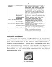 Praktikos ataskaita: saugos sistemos, signalizacijos  UAB "Armabelus" 19 puslapis
