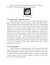 Praktikos ataskaita: saugos sistemos, signalizacijos  UAB "Armabelus" 20 puslapis