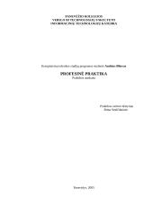 Profesinė praktika: kompiuterinės ir programinės įrangos priežiūros paslaugos UAB "Togilas" 1 puslapis