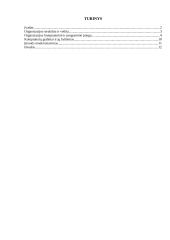 Profesinė praktika: kompiuterinės ir programinės įrangos priežiūros paslaugos UAB "Togilas" 2 puslapis