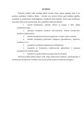Profesinė praktika: kompiuterinės ir programinės įrangos priežiūros paslaugos UAB "Togilas" 3 puslapis