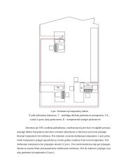 Profesinė praktika: kompiuterinės ir programinės įrangos priežiūros paslaugos UAB "Togilas" 10 puslapis