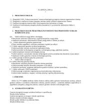 Profesinės praktikos ataskaita: įrenginių remontas UAB "Vakarų autocentras" 2 puslapis